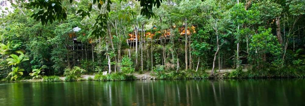 Forêt Tropicale de Daintree Cairns