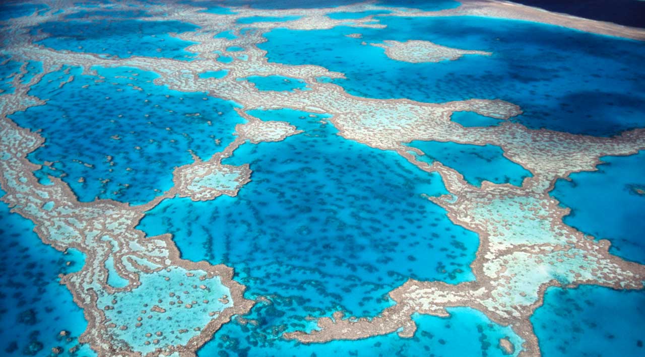 GRANDE BARRI&Egrave;RE DE CORAIL EN AUSTRALIE