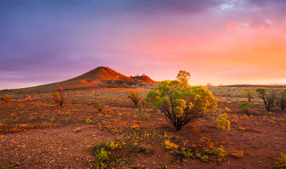 OUTBACK AUSTRALIEN DÉSERT ARIDE coucher de soleil