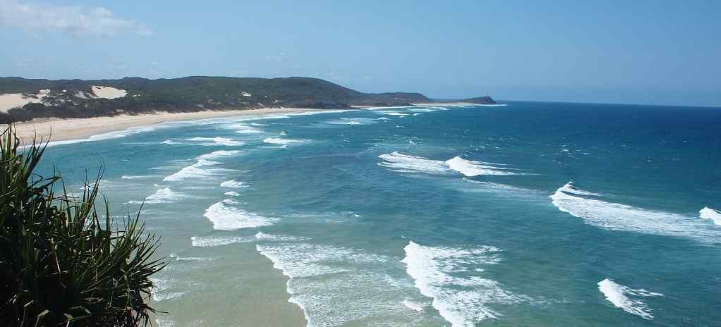 surf en Australie noosa