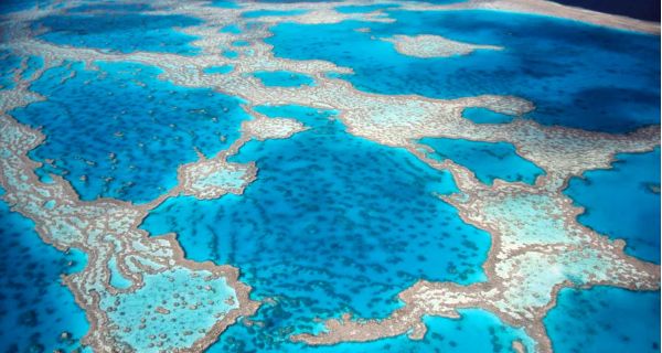 GRANDE BARRI&Egrave;RE DE CORAIL EN AUSTRALIE
